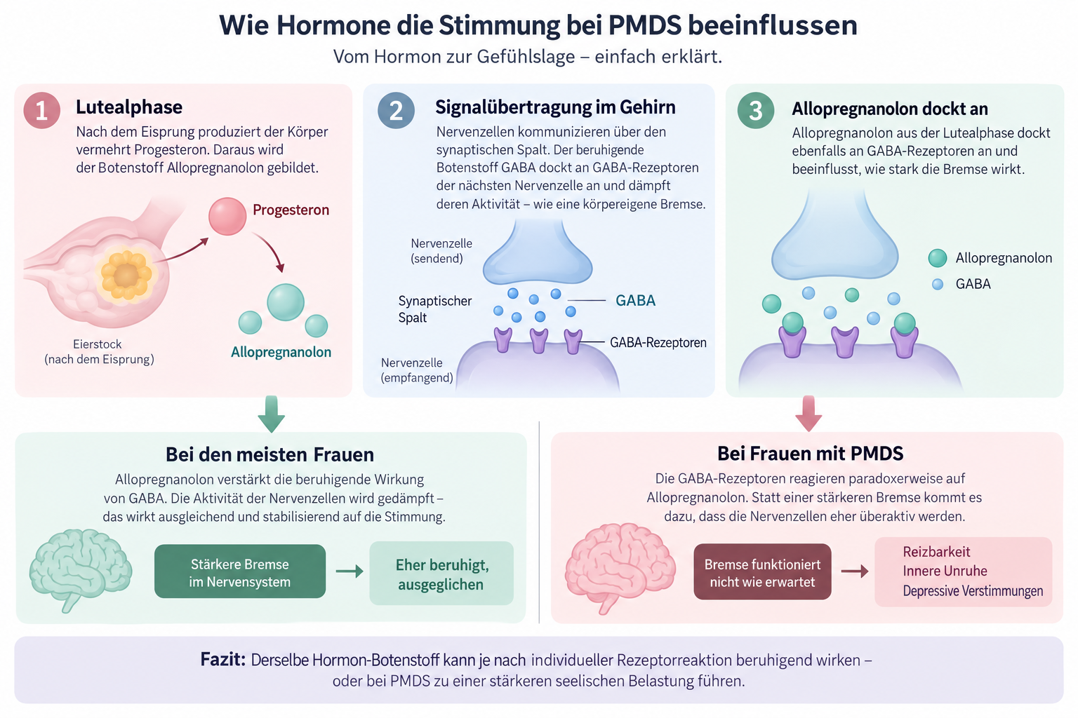 Wie Hormone die Stimmung bei PDMS beinflussen